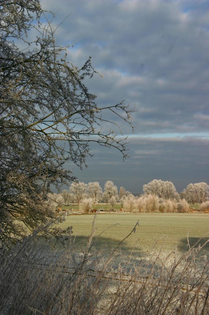 Feld mit Raureif.JPG - Feld mit Raureif / Kamen-Methler